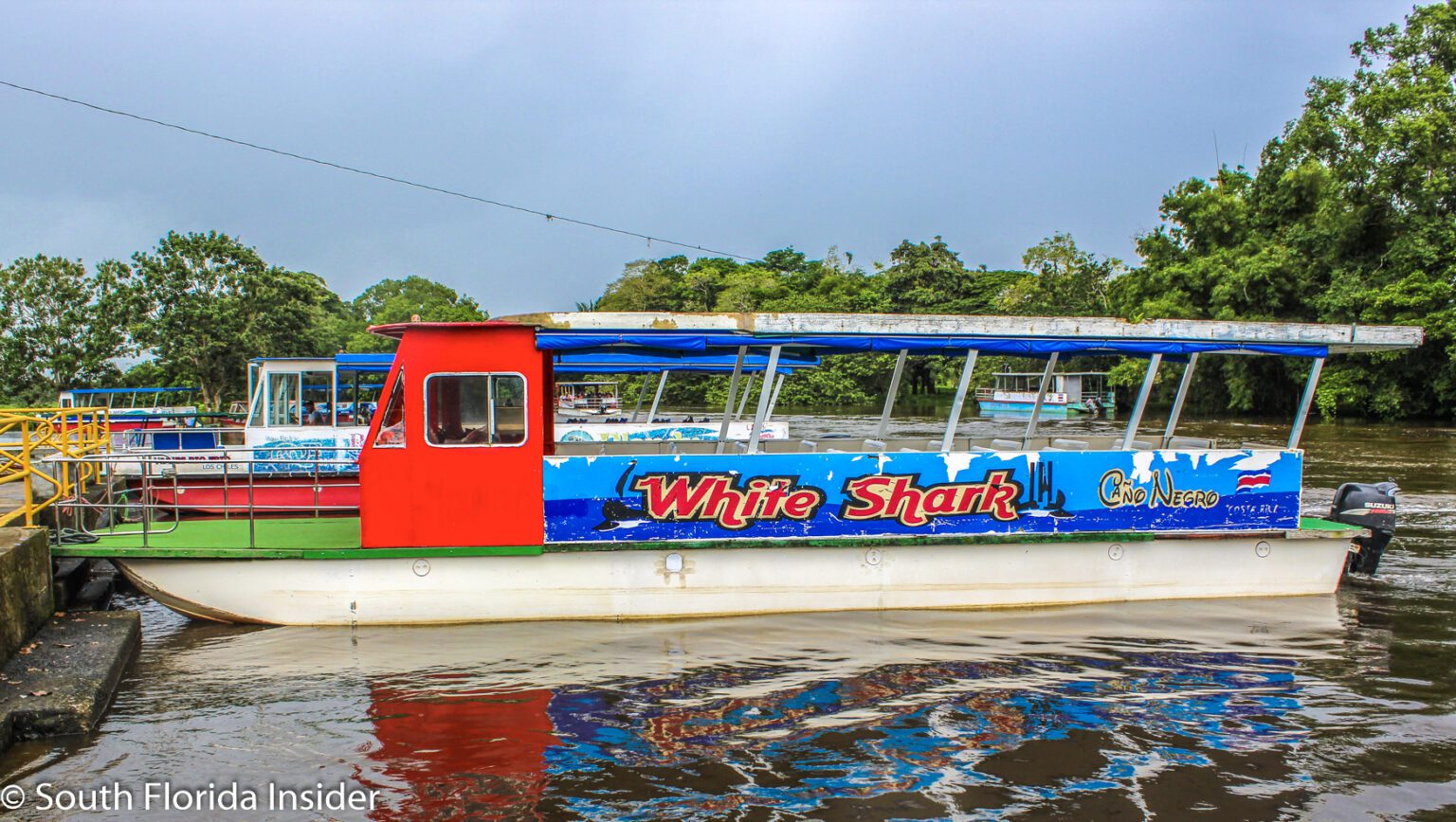 Wildlife Wonders during Cano Negro Boat Tour - South Florida Insider